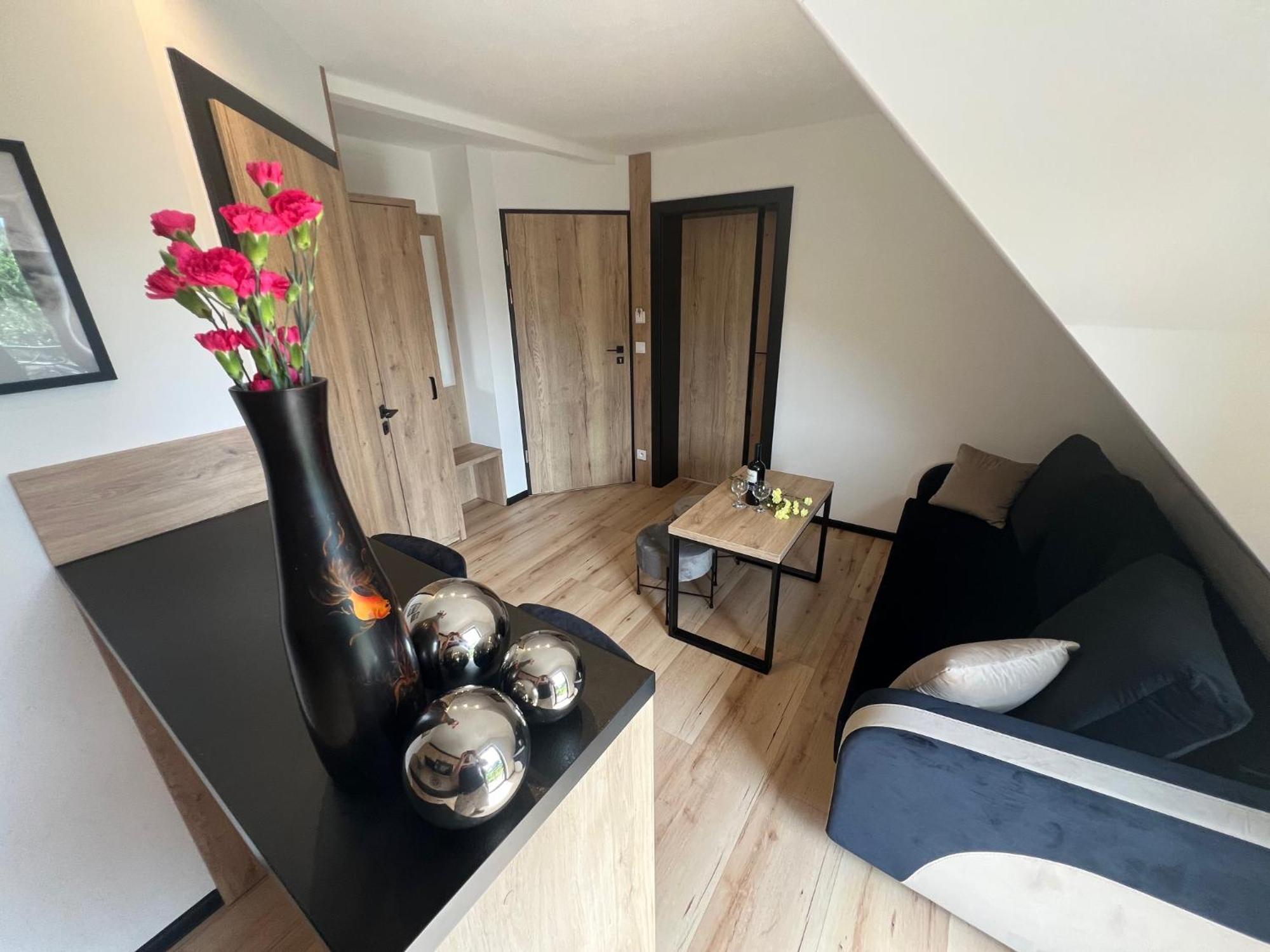 Pod Sosnami Termy 450M -20 Procent Na Termy Apartmán Biały Dunajec